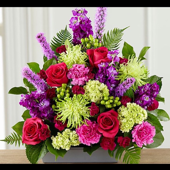 Meet your Posher, Gina - Picture 1 of 1